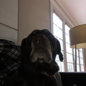 Meet your Posher, John